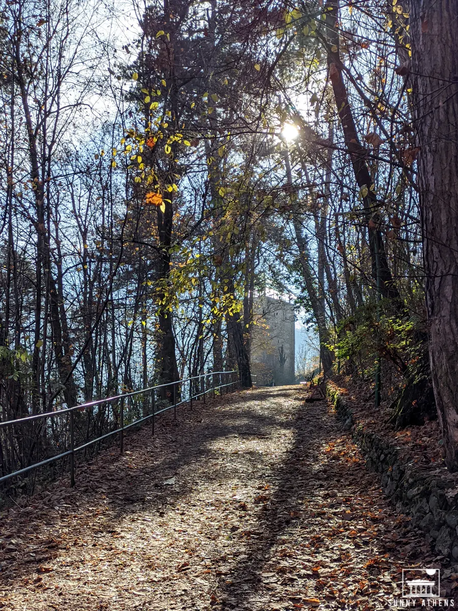 Unique Experiences in Brasov: the path to the White Tower, full of leaves.