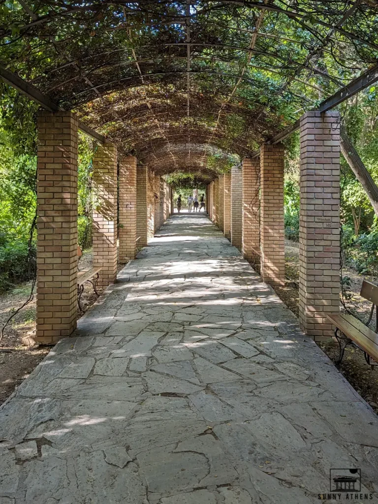 A walkway under a tree-shaded arch in the National Garden in Athens.