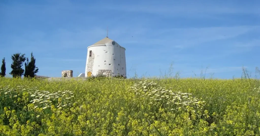 A white windmill in Lefkes village, surrounded by flowers.