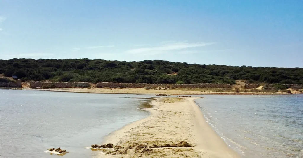 A narrow sandbar extending into a serene lagoon bordered by lush greenery and clear skies.