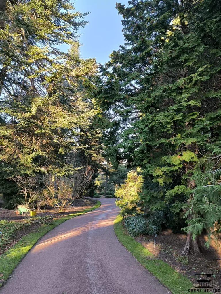 A winding path through tall green trees in the Royal Botanic Garden of Edinburgh.